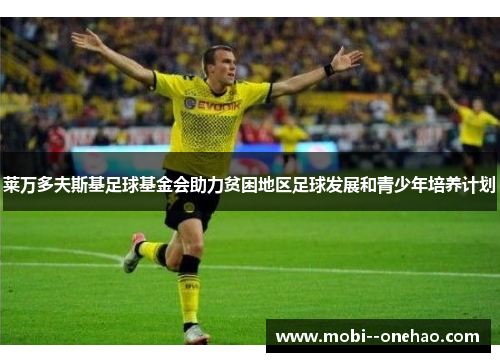 莱万多夫斯基足球基金会助力贫困地区足球发展和青少年培养计划 莱万多夫斯基足球基金会助力贫困地区足球发展和青少年培养计划