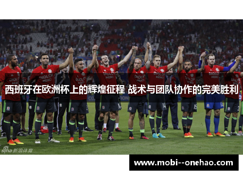 西班牙在欧洲杯上的辉煌征程 战术与团队协作的完美胜利