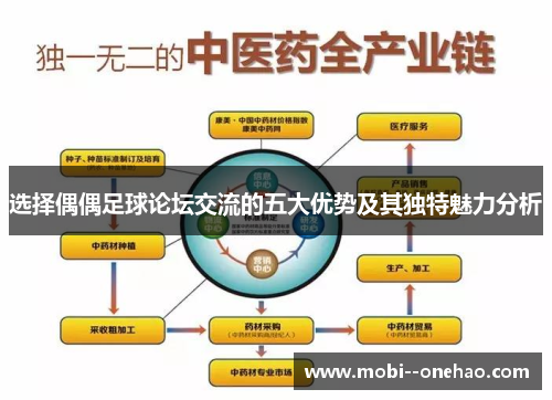 选择偶偶足球论坛交流的五大优势及其独特魅力分析