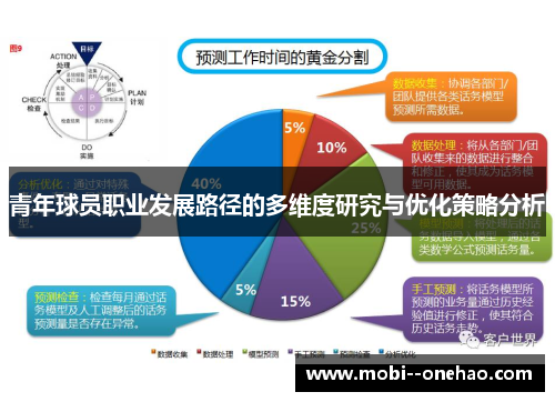 青年球员职业发展路径的多维度研究与优化策略分析
