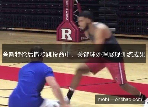 舍斯特伦后撤步跳投命中，关键球处理展现训练成果